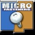 microfasteners